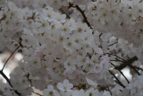 IMG_0473.png