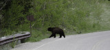 Glacier National Park