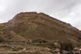 tal_DSC_1627s.jpg
