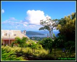 Charlotte Amalie (St.Thomas)
