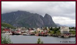 Reine