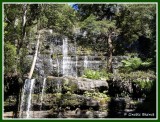Russell Falls 