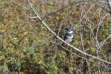 sepul20131117-102.jpg