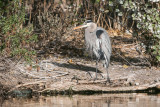 sepul20131117-112.jpg
