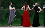 Dance Fest 49