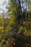 Near Campbellville 