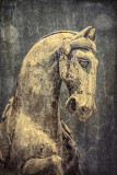 Ancient Horse 
