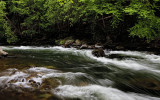 Fast Water on the Gull River 