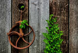 Iron Wheel and Barn Board 