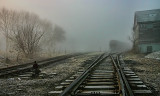 Tracks on a Misty Morning 