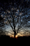 Last Rays 