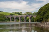 CRW_00070.jpg View of Trematon Castle, Forder Viaduct, Forder Creek & train from Marsh Coombe - Saltash - © A Santillo 2003