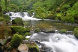 CRW_00436B.jpg Golitha Falls - Redgate, Bodmin Moor -  A Santillo 2003