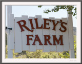 Rileys Farm Field Trip 2015