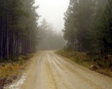 Buddy's Runnin' Roads