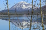 Reflection