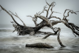 Mother Ocean takes her toll