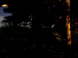 Night View of the Lake