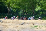 IMG_7957.jpg