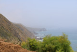 IMG_1764.jpg
