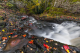 Fall flow in Cook County, Minnesota