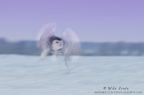 Pan Blur