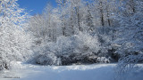 140220P2R86 copy.jpg