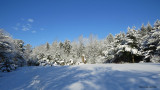 140220P2R32 copy.jpg