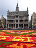 The Flower Carpet 2014