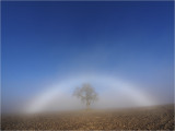 Floating arch