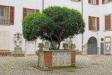 16_Bishops courtyard.jpg