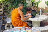 35_ A student monk.jpg