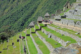 Machu Picchu_05.jpg