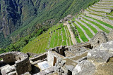 Machu Picchu_16.jpg