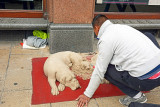 31_Street artist.jpg