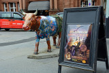 44_Cow for advertising.jpg