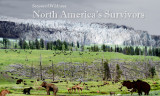 North American Survivors (cover)