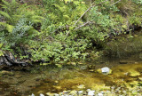 Sugarloaf dry creek
