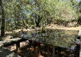 Champagne bottle glass table Paradise Ridge.jpg