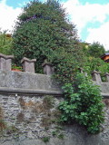 Aritzo - mura e merli del Castello Arangino