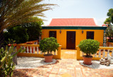 CLBR 5040 aruba house orange .jpg
