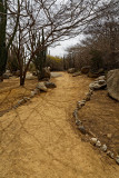 _02C3548_DxO.jpg
