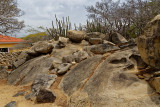 _02C3562_DxO.jpg