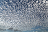 _02C9508_DxO.jpg