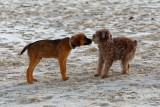 _02C0907_DxO.jpg