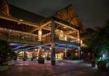Zoo Lights - Jacksonville Zoo 