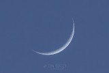 1DX-71335 - Moon over Bosque