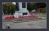 In Memory of the Fallen  ( Armistice Day 2013 )