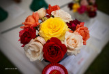 Colchester Rose Show 2015