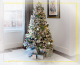 Christmas tree at Greyfriars Hotel 2016 